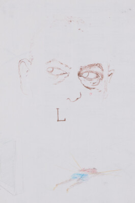 KEVAN VERLEYE